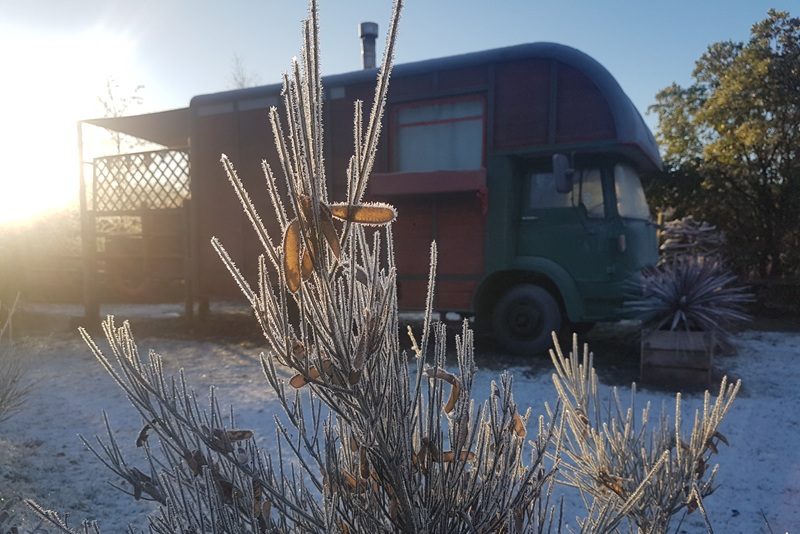Winter Holiday