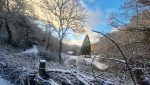 Festive snowy scene at Nyth Robin