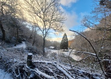 Christmas and New Year Stays in Mid Wales | Nyth Robin