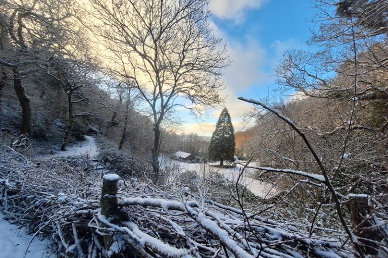Festive snowy scene at Nyth Robin