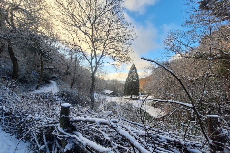 Christmas-Festive-Breaks-Nyth-Robin-Aberdovey-Wales